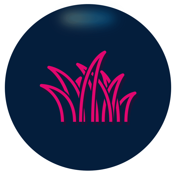 Icon of grass blades