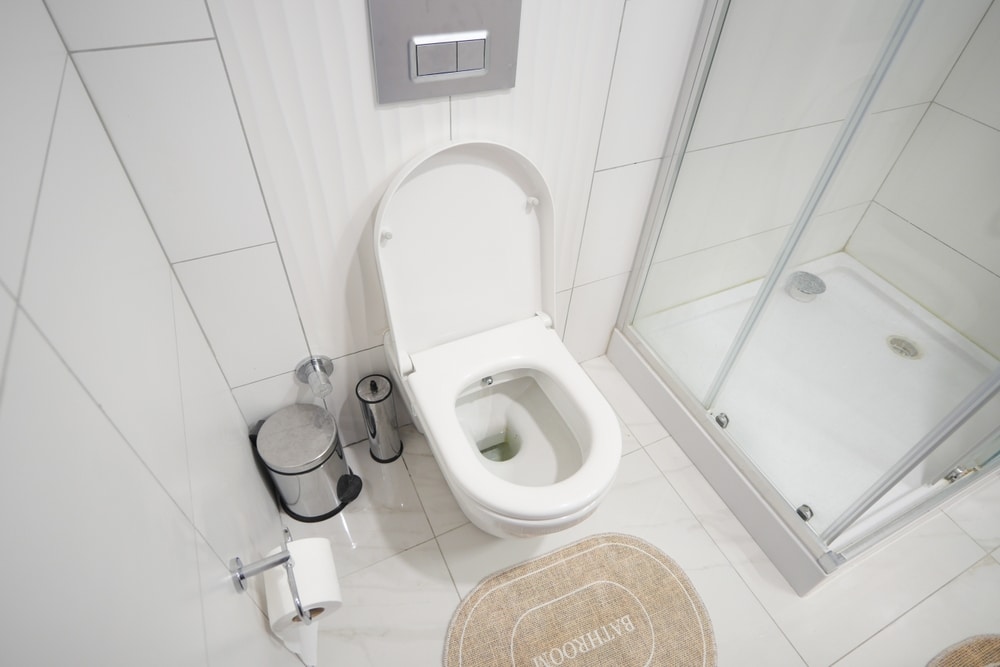 A Contemporary Modern Bathroom that Features a Toilet and Shower Enclosure for Comfort and Hygiene